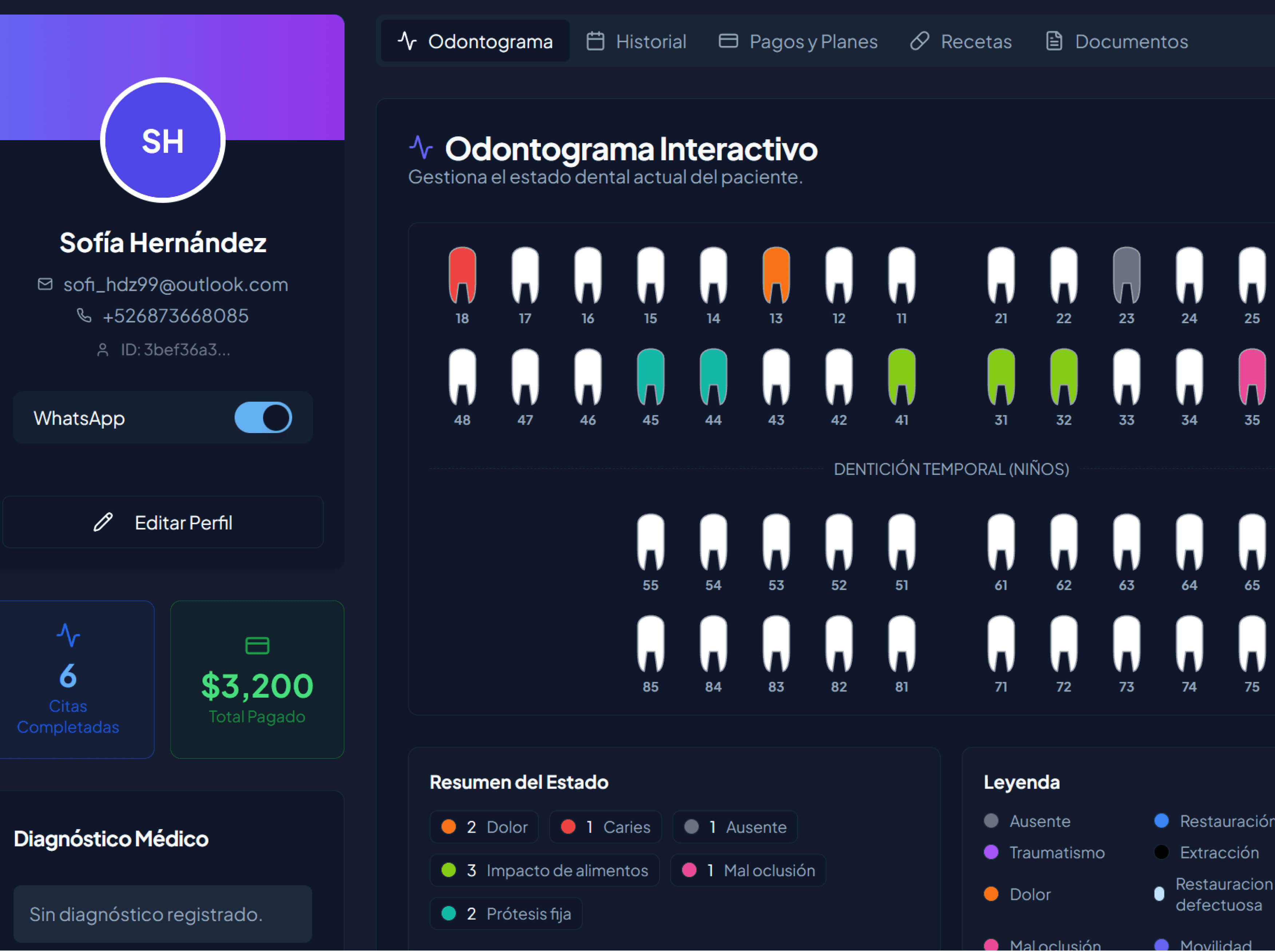 Registro Clínico Digital Preview Dark
